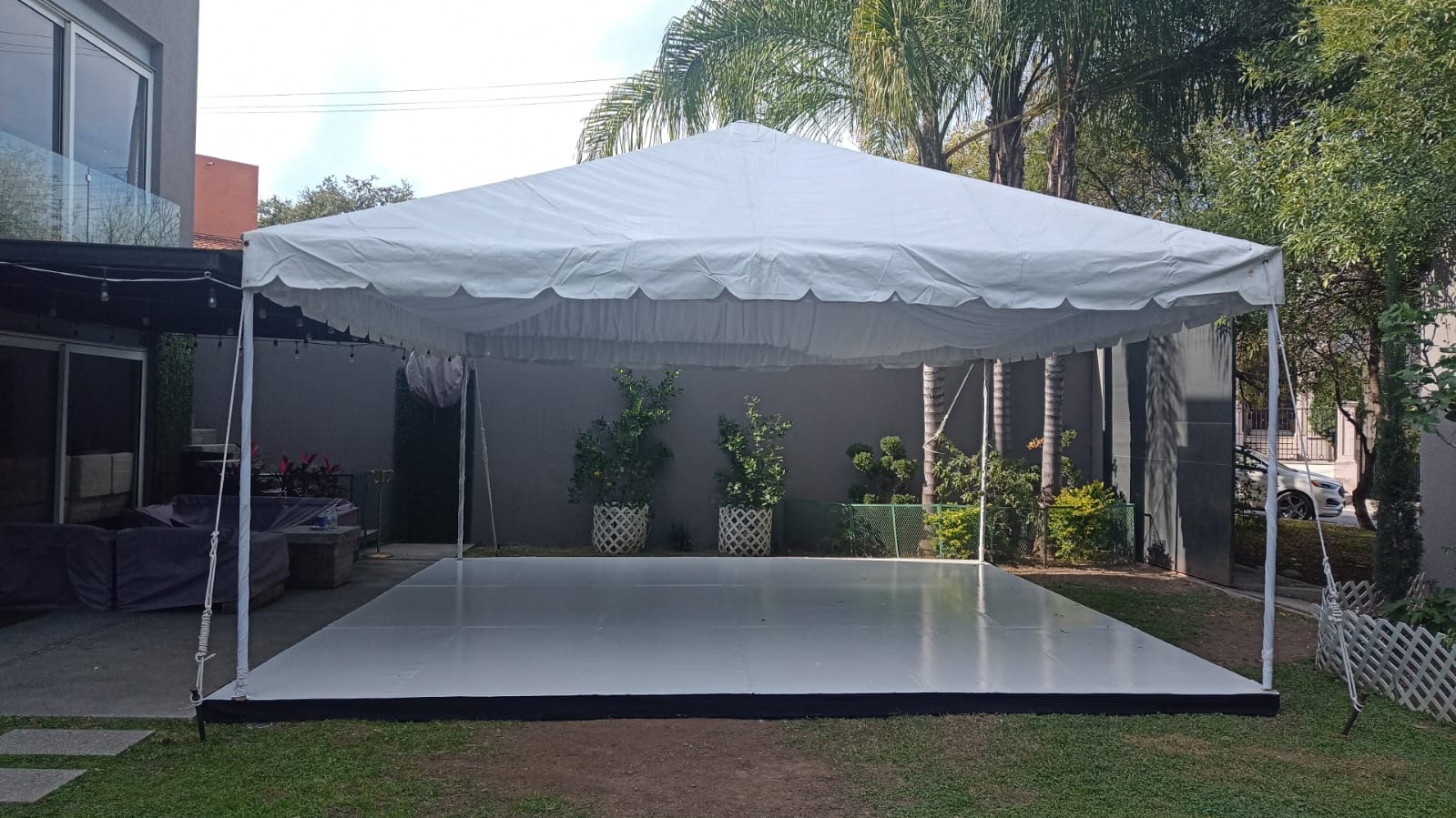 Galería 19